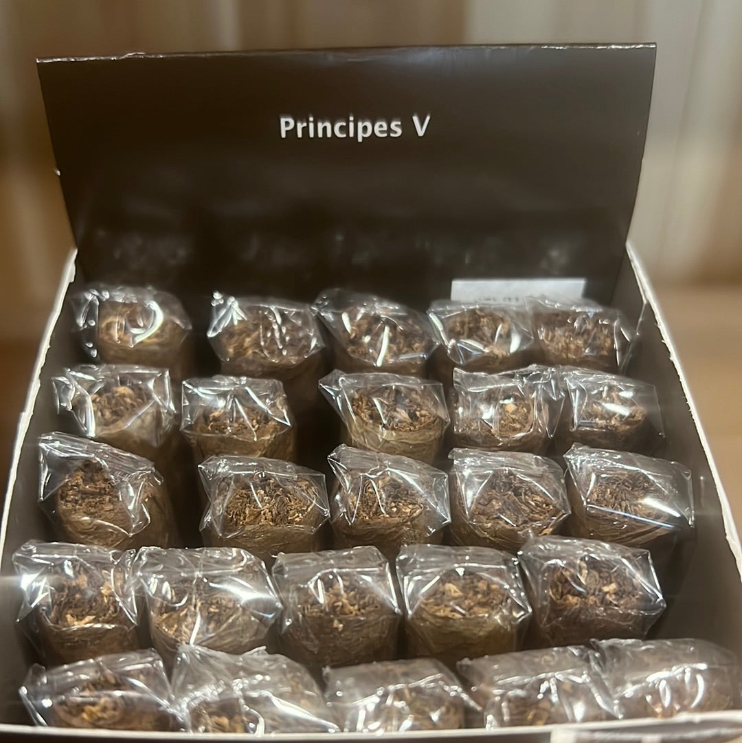 Cigar- Principes Vanilla (Blonde)