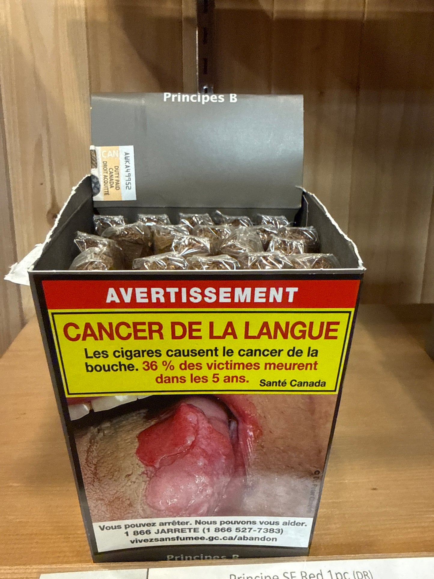 Cigar- Principes Blueberry 1pc